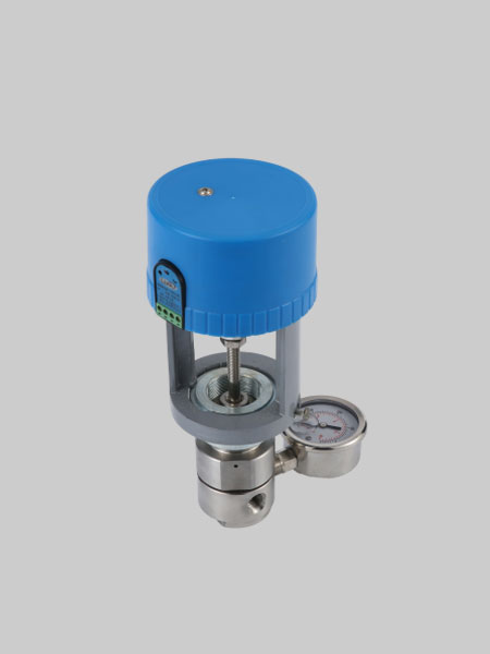 電動(dòng)背壓閥 電動(dòng)背壓閥